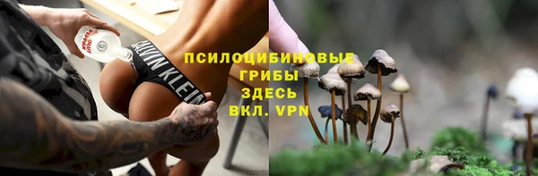таблы Алзамай