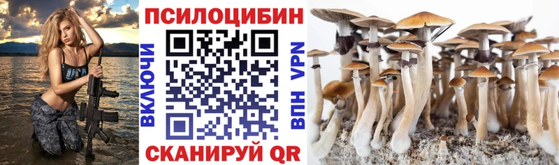 сколько стоит Снежногорск Галлюциногенные грибы MAGIC MUSHROOMS